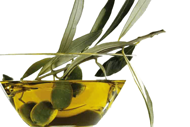 vendita olio aceto